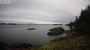 ./images/quadra/tower/20211115/tower20211115_101000M.jpg