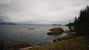 ./images/quadra/tower/20220315/tower20220315_154500M.jpg
