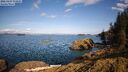 ./images/quadra/tower/20260427/tower20260427_172501M.jpg