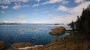 ./images/quadra/tower/20260811/tower20260811_161501M.jpg