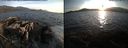 ./images/rivers-inlet/ethel/20140819/ethel20140819_195003.jpg