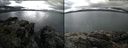 ./images/rivers-inlet/ethel/20140829/ethel20140829_164003.jpg