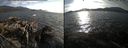 ./images/rivers-inlet/ethel/20140915/ethel20140915_175501.jpg