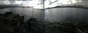 ./images/rivers-inlet/ethel/20140929/ethel20140929_145502.jpg