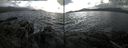 ./images/rivers-inlet/ethel/20140929/ethel20140929_160003.jpg