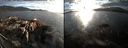 ./images/rivers-inlet/ethel/20141006/ethel20141006_182002.jpg