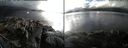 ./images/rivers-inlet/ethel/20141019/ethel20141019_160002.jpg