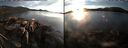 ./images/rivers-inlet/ethel/20141025/ethel20141025_175002.jpg