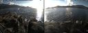 ./images/rivers-inlet/ethel/20141026/ethel20141026_155003.jpg