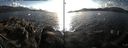./images/rivers-inlet/ethel/20141026/ethel20141026_162502.jpg