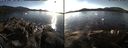 ./images/rivers-inlet/ethel/20141110/ethel20141110_143502.jpg