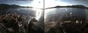 ./images/rivers-inlet/ethel/20141110/ethel20141110_145003.jpg