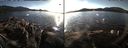 ./images/rivers-inlet/ethel/20141110/ethel20141110_150502.jpg