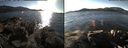 ./images/rivers-inlet/ethel/20141111/ethel20141111_134503.jpg