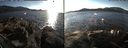 ./images/rivers-inlet/ethel/20141111/ethel20141111_142502.jpg