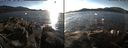 ./images/rivers-inlet/ethel/20141111/ethel20141111_143502.jpg