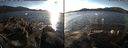 ./images/rivers-inlet/ethel/20141111/ethel20141111_144001.jpg