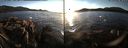 ./images/rivers-inlet/ethel/20141111/ethel20141111_160502.jpg