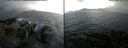 ./images/rivers-inlet/ethel/20141123/ethel20141123_100503.jpg