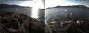 ./images/rivers-inlet/ethel/20141129/ethel20141129_142003.jpg