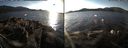 ./images/rivers-inlet/ethel/20141129/ethel20141129_144002.jpg