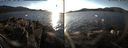 ./images/rivers-inlet/ethel/20141129/ethel20141129_145502.jpg