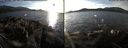 ./images/rivers-inlet/ethel/20141202/ethel20141202_144002.jpg
