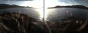 ./images/rivers-inlet/ethel/20141202/ethel20141202_154003.jpg