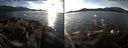 ./images/rivers-inlet/ethel/20141203/ethel20141203_143503.jpg