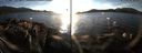 ./images/rivers-inlet/ethel/20141203/ethel20141203_152502.jpg