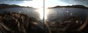 ./images/rivers-inlet/ethel/20141203/ethel20141203_154003.jpg