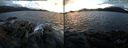 ./images/rivers-inlet/ethel/20141210/ethel20141210_162003.jpg