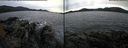 ./images/rivers-inlet/ethel/20141211/ethel20141211_130501.jpg