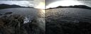 ./images/rivers-inlet/ethel/20141211/ethel20141211_153501.jpg