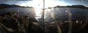 ./images/rivers-inlet/ethel/20141213/ethel20141213_150501.jpg