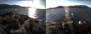 ./images/rivers-inlet/ethel/20141228/ethel20141228_140302.jpg