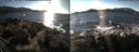 ./images/rivers-inlet/ethel/20141229/ethel20141229_140302.jpg