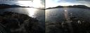 ./images/rivers-inlet/ethel/20141230/ethel20141230_140302.jpg