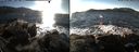 ./images/rivers-inlet/ethel/20150107/ethel20150107_140302.jpg