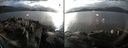 ./images/rivers-inlet/ethel/20150127/ethel20150127_153301.jpg