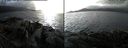 ./images/rivers-inlet/ethel/20150201/ethel20150201_143301.jpg