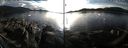 ./images/rivers-inlet/ethel/20150209/ethel20150209_160217.jpg
