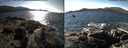 ./images/rivers-inlet/ethel/20150227/ethel20150227_132703.jpg