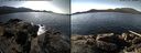 ./images/rivers-inlet/ethel/20150303/ethel20150303_125703.jpg