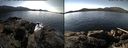 ./images/rivers-inlet/ethel/20150303/ethel20150303_130603.jpg