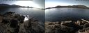 ./images/rivers-inlet/ethel/20150303/ethel20150303_131202.jpg