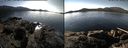 ./images/rivers-inlet/ethel/20150303/ethel20150303_132102.jpg