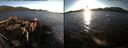 ./images/rivers-inlet/ethel/20150315/ethel20150315_185002.jpg