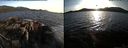 ./images/rivers-inlet/ethel/20150408/ethel20150408_192003.jpg