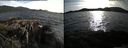 ./images/rivers-inlet/ethel/20150508/ethel20150508_185002.jpg